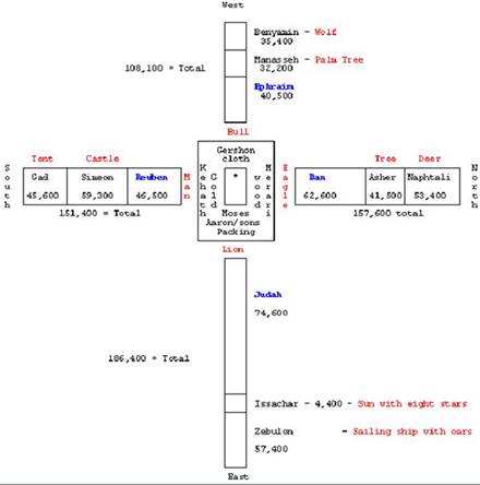 P561C3T7#y1