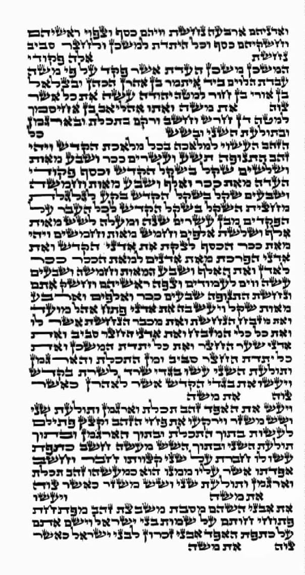 Judaica mini Jewish SEFER TORAH Scroll Book Israel Holy Hebrew Bible Humash  14 by Body-Soul-n-Spirit Torah : : Health, Household and Personal  Care